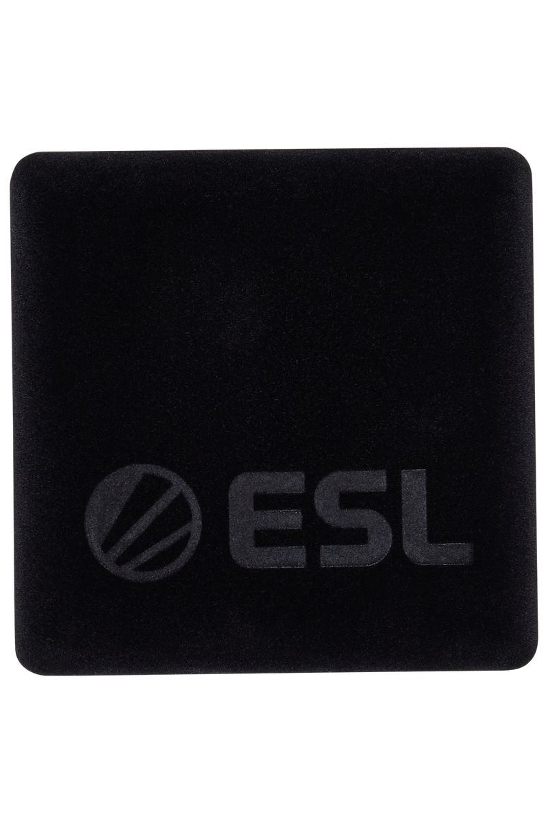 ESL One Birmingham 2026 Coin Silver