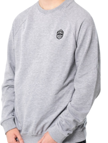 BIG Origins Sweatshirt Grey