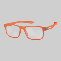 OptiFlex: DreamHack 2024 Orange