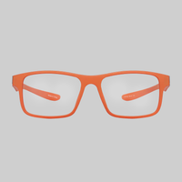 OptiFlex: DreamHack 2024 Orange