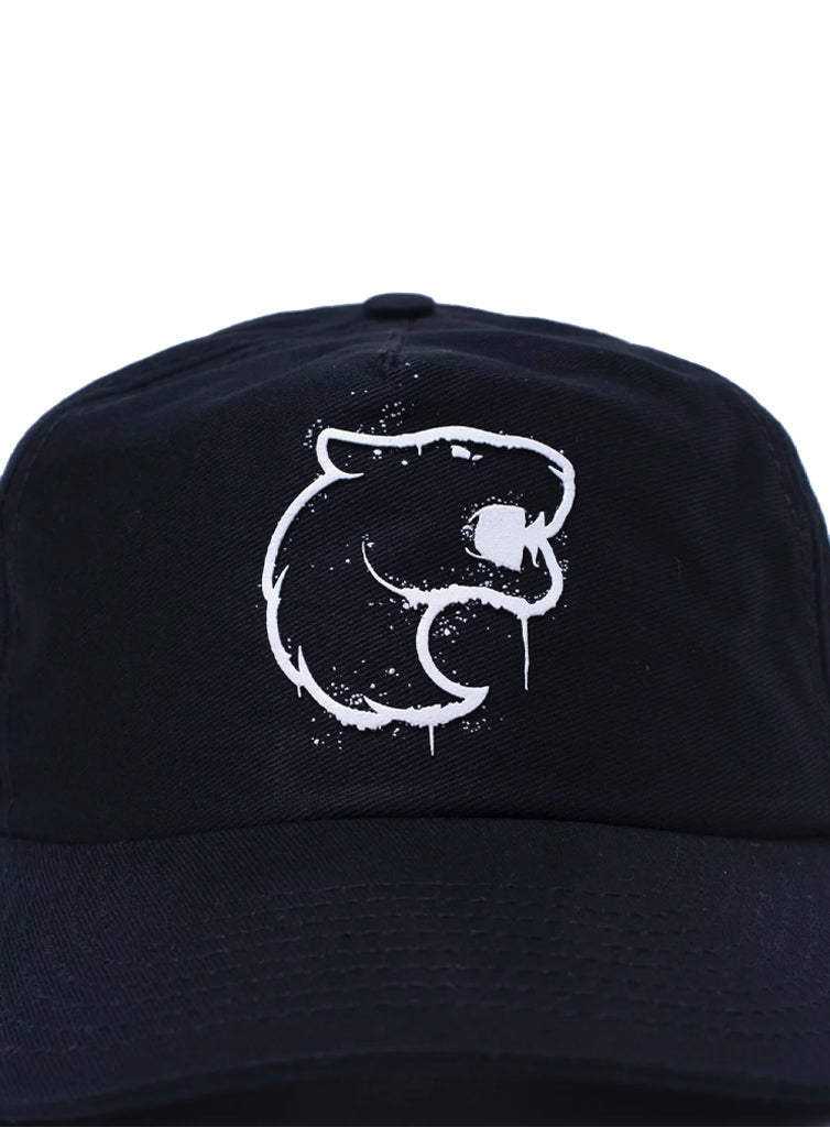 Furia Spray It Dad Hat Black