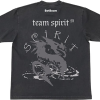 Team Spirit Pro Jersey 2025/26 Black