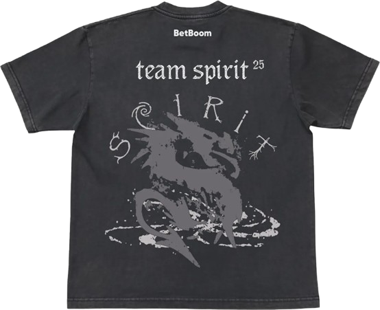 Team Spirit Pro Jersey 2025/26 Black